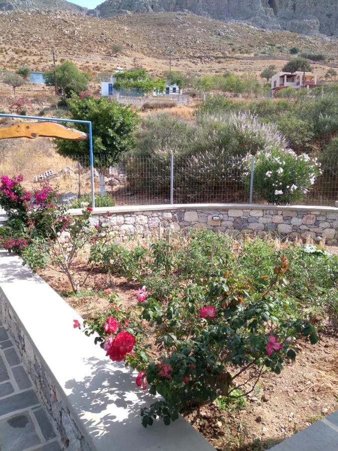 Villa Polymnia Emborios Ngoại thất bức ảnh